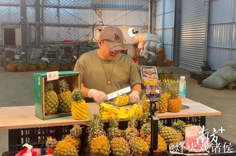 大菠萝直播视频