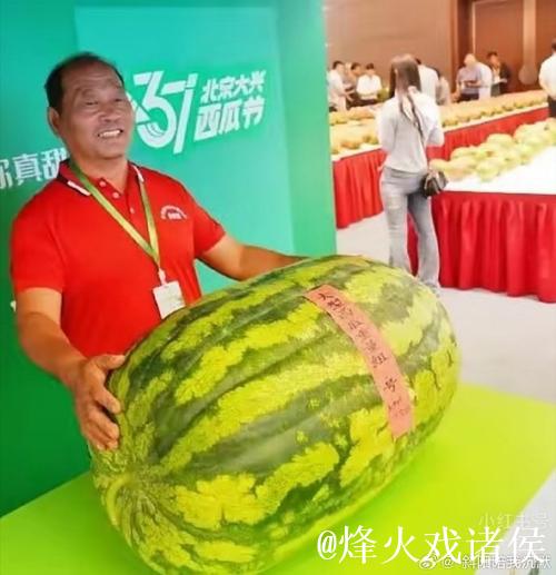 网红大瓜免费吃，全城热议真相揭秘！